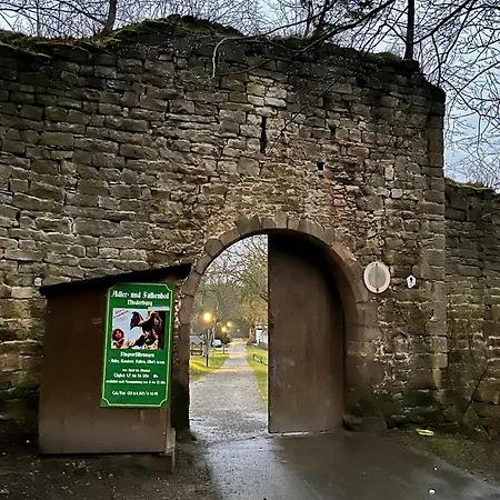 Delux Kunstgalerie Und Ilmradweg