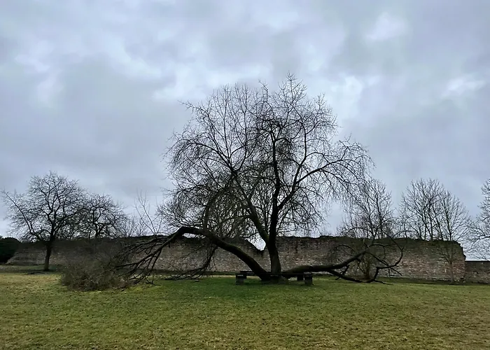 Lejlighed Delux Kunstgalerie Und Ilmradweg