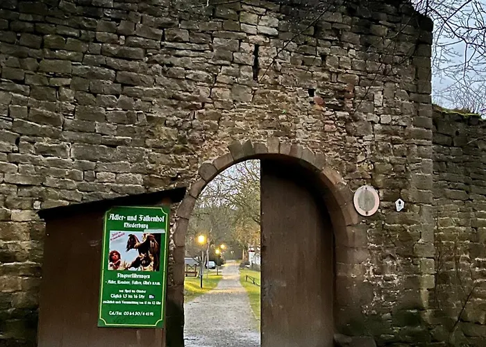 Delux Kunstgalerie Und Ilmradweg